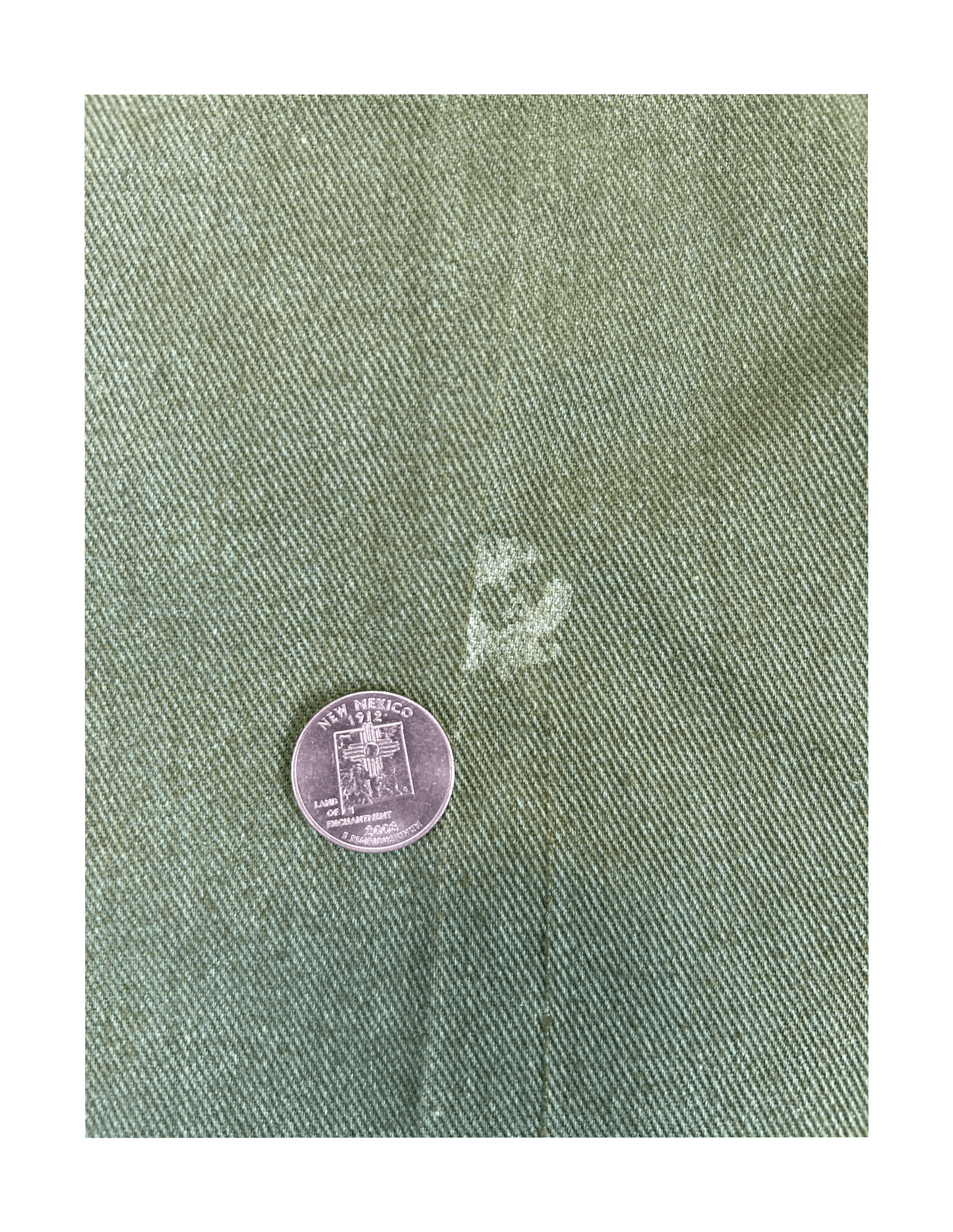 Lee Riders Avocado Green Denim